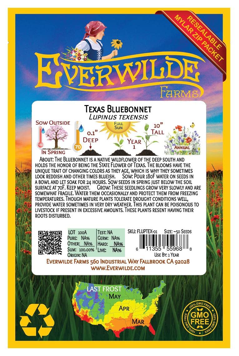 Everwilde Farms - 50 Texas Bluebonnet Native Wildflower Seeds - Gold Vault Jumbo Seed Packet for Garden, Landscaping & Pollinator-Friendly Planting