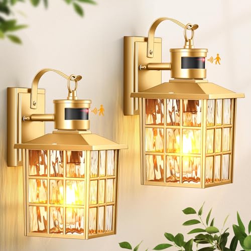Gold 2-Pack