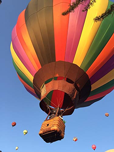 20x30 Inch Laminated Hot Air Balloon Festival Poster - Vibrant Colors & High-Quality Print - Perfect for Home Decor, Bedroom, Living Room & Office Wall Art