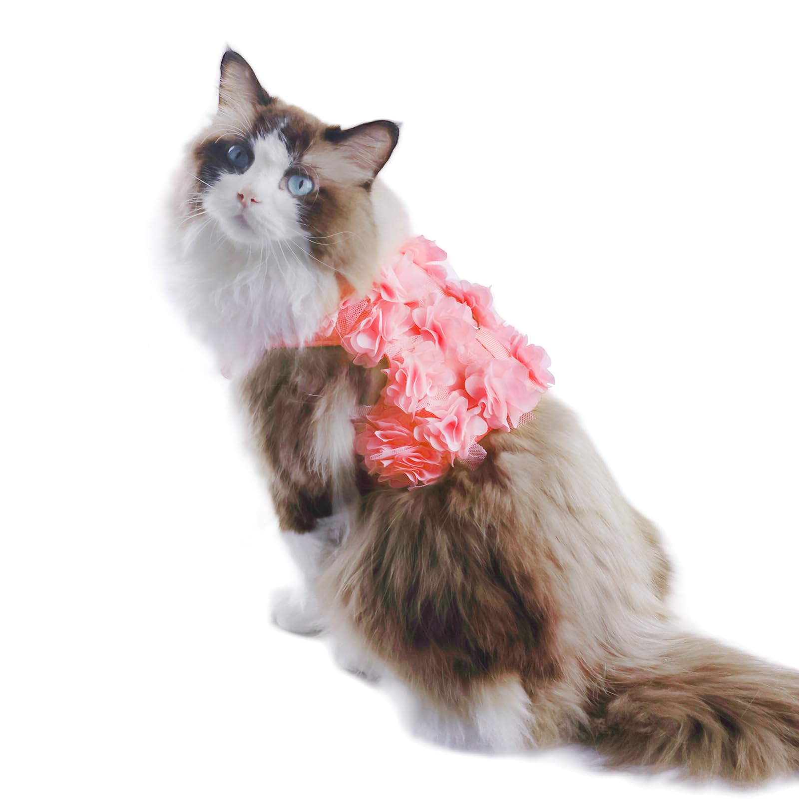 Escape-Proof Small Dog Harness & Leash Set - Soft Mesh Flower Puppy Vest for Small Dogs & Cats (Pink & Multicolor) | Perfect for Walks, Training & Outdoor Adventures