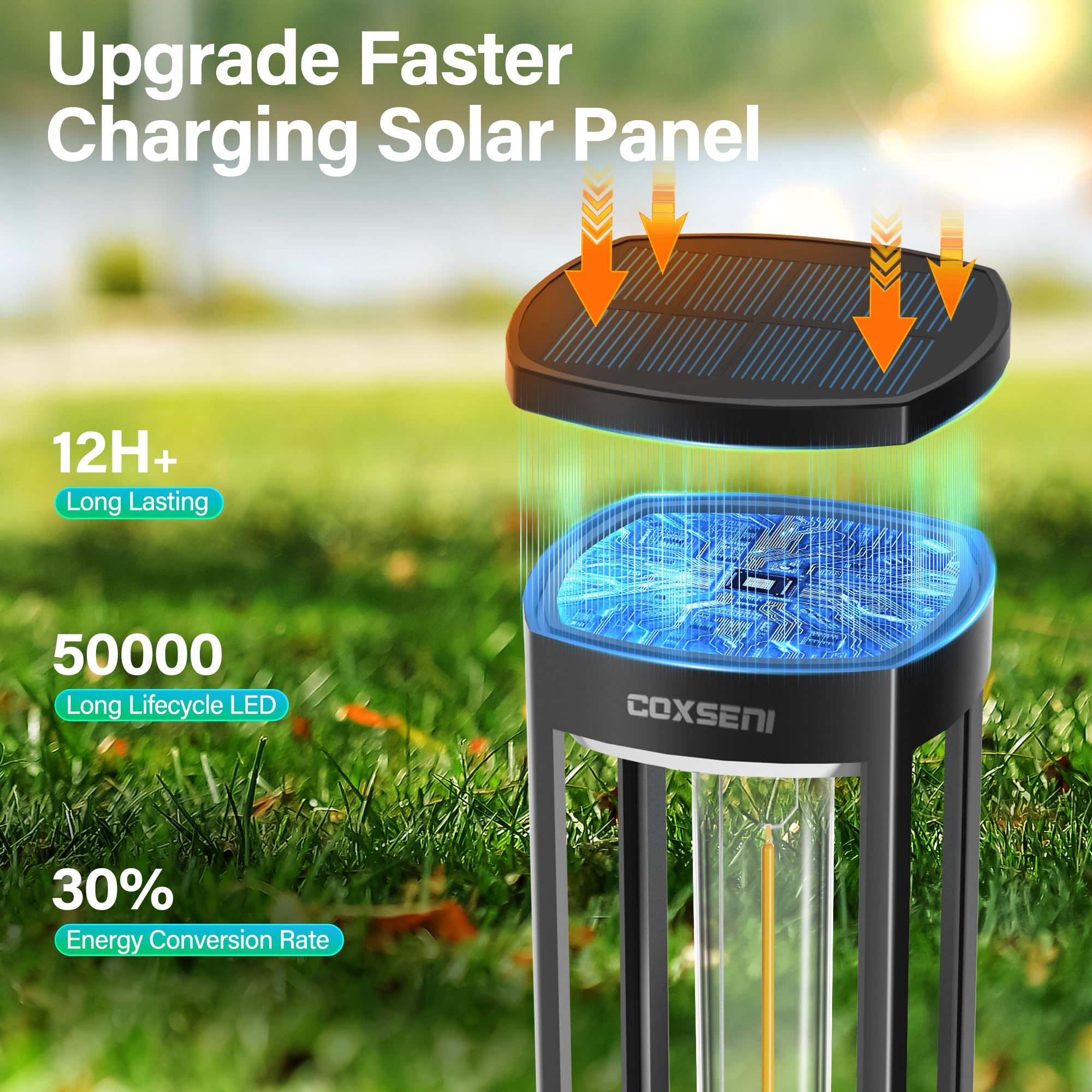 Solar Pathway Lights Outdoor 6 Pack - Waterproof Solar Walkway Lights for Driveway, Lawn, Patio & Yard | Bright LED Landscape Lighting for Garden, Sidewalk & Outdoor Decor | Energy-Efficient Solar Powered Lights for Nighttime Safety & Ambiance