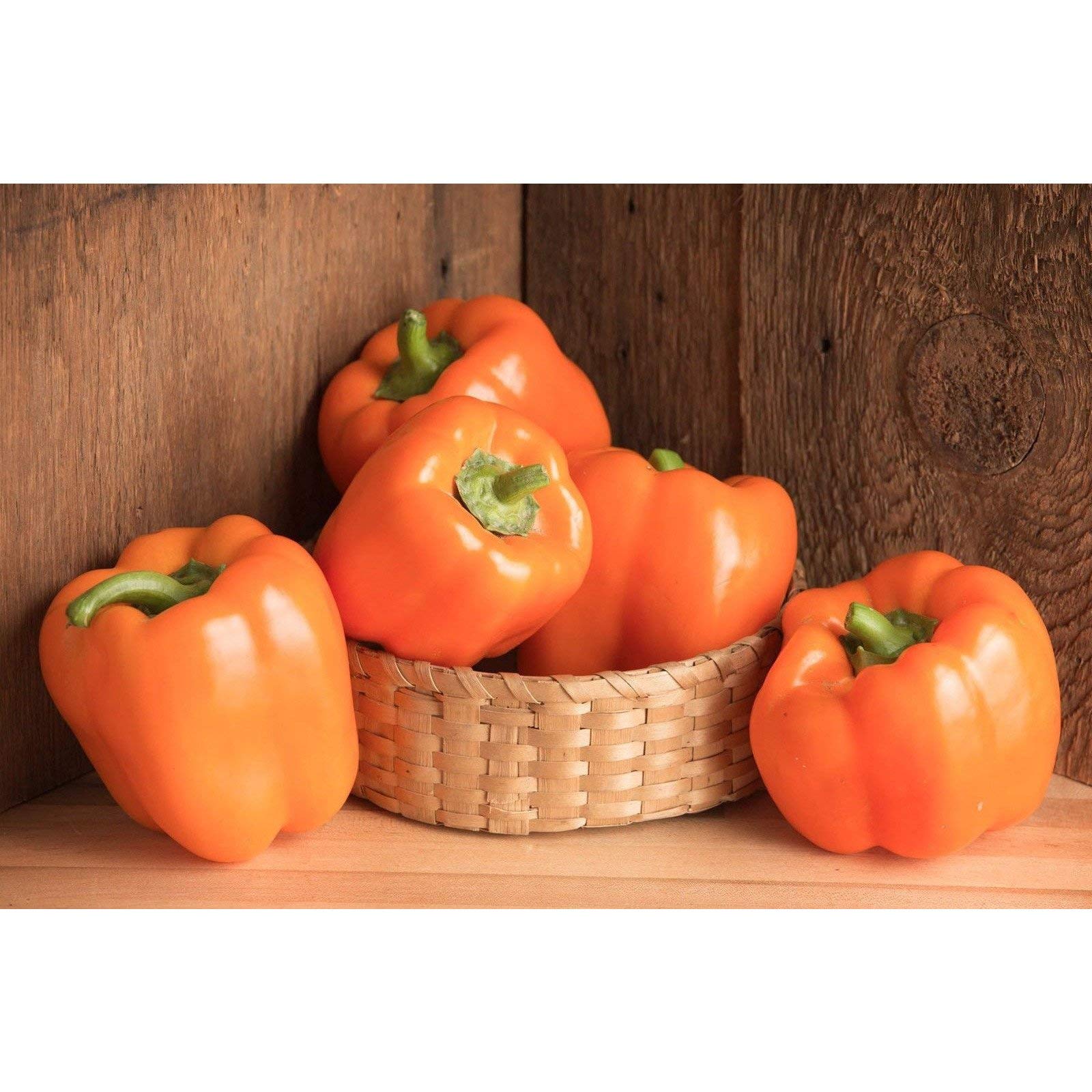 Milena F1 Sweet Bell Pepper Seeds - 25 Seeds Pack for Home Gardening, Organic Vegetable Planting & Fresh Salad Recipes
