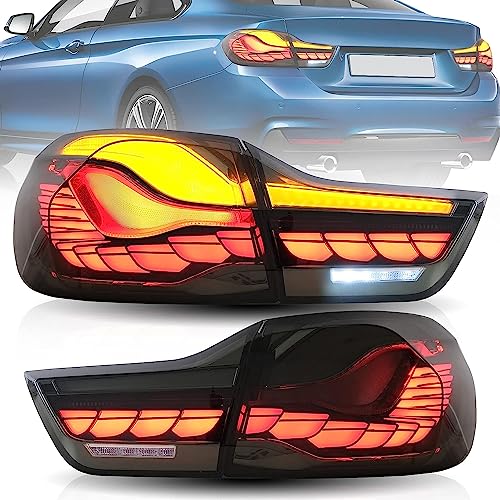 14-20 BMW 4 Series (Dragon Scale Smoked)