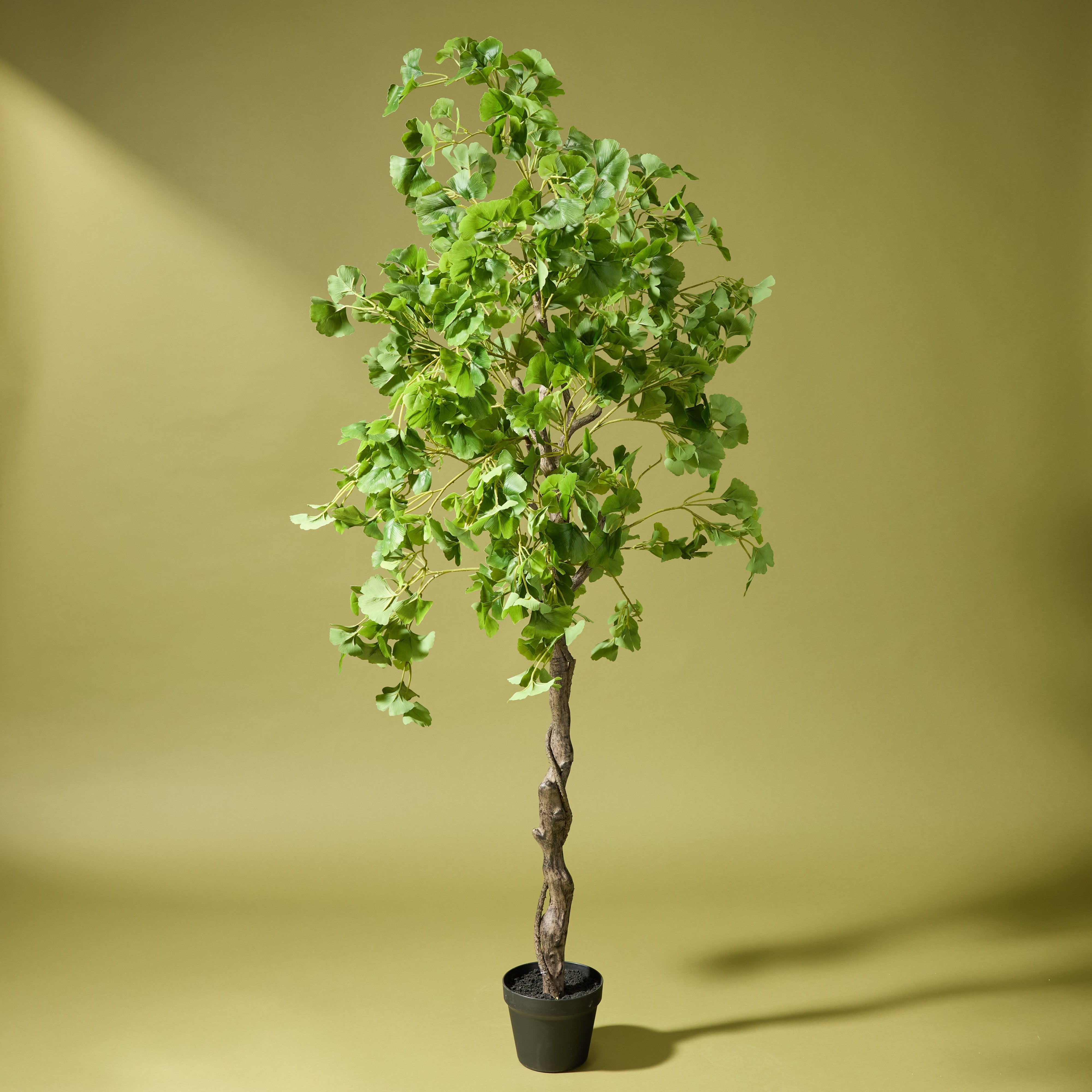 Artificial Ginkgo Tree in Decorative Garden Pot - 68 Inches Tall for Home, Office, and Outdoor Decor