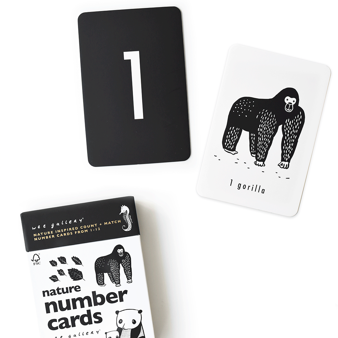 Counting Adventure Bundle - Fun Math Learning Toys for Kids | Educational Counting Games for Preschool & Kindergarten | Perfect for Home & Classroom Activities