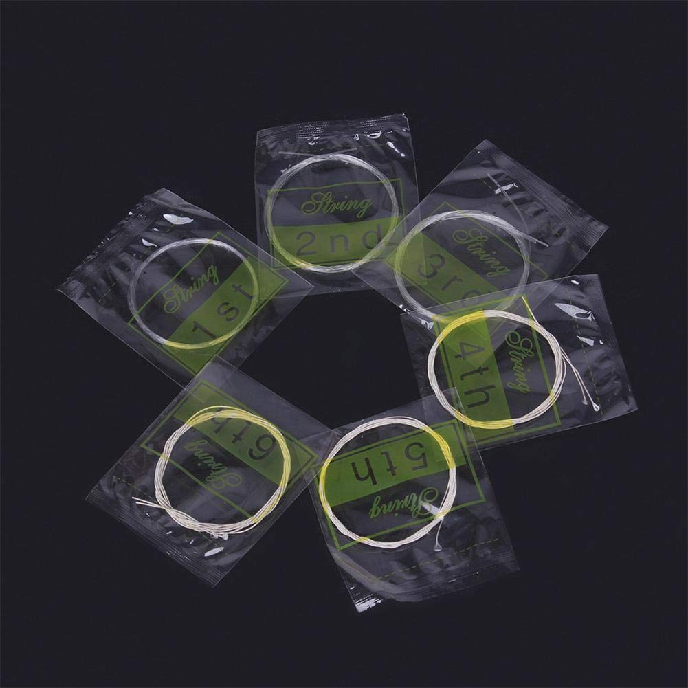 Premium Oud Strings Set - 12 Nylon & Silver-Plated Copper Alloy Strings for Oud Accessories | Perfect for Professional Performances, Practice Sessions & Middle Eastern Music Enthusiasts
