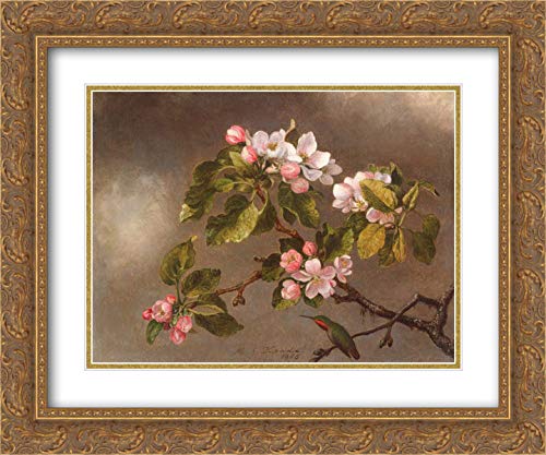 Martin Johnson Heade 17x15 Gold Ornate Framed Hummingbird & Apple Blossoms Art Print - Double Matted Museum Quality Wall Decor for Living Room, Bedroom, Office