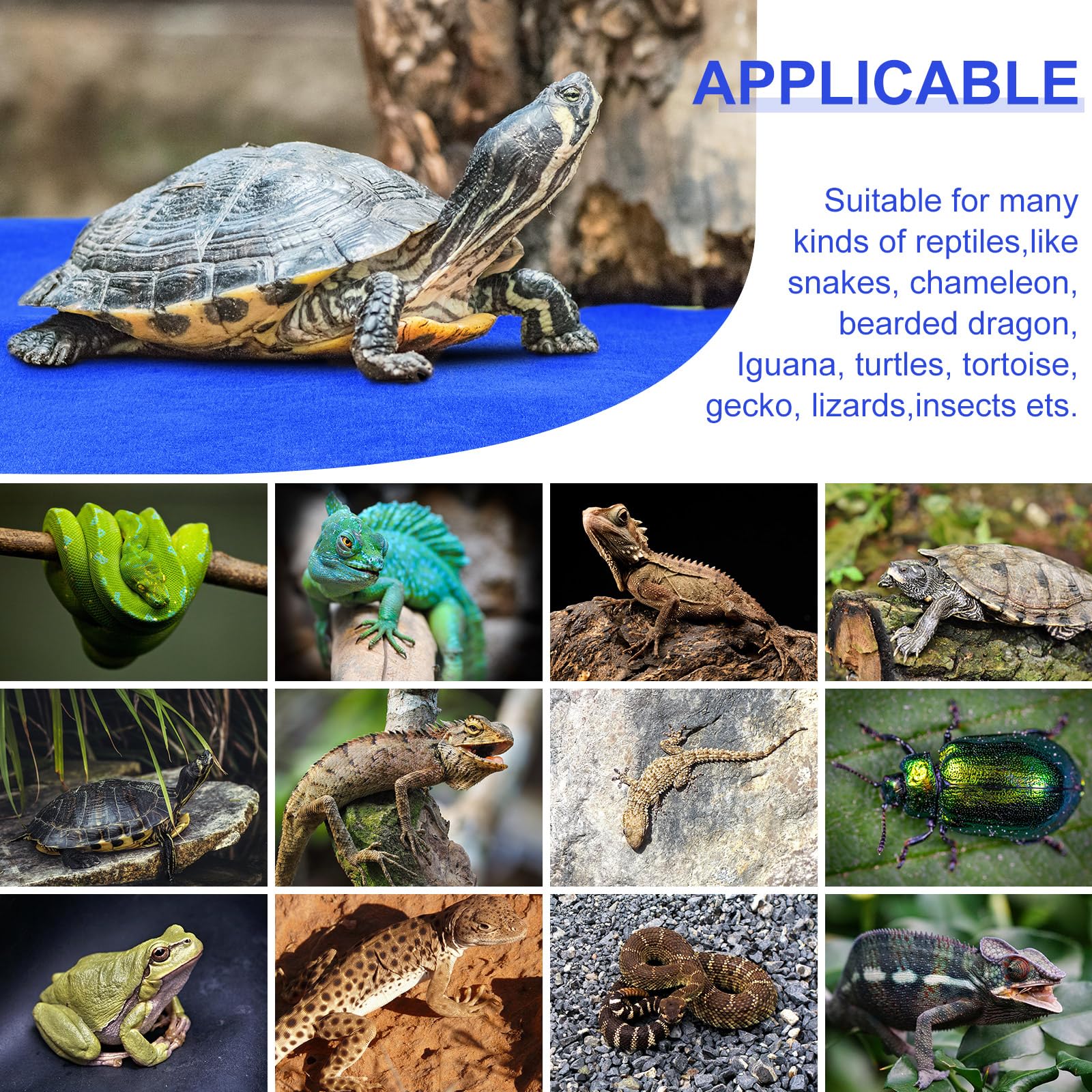 Premium 4-Piece Reptile Carpet Terrarium Liner Set - Soft & Durable Substrate for Lizards, Bearded Dragons, Tortoises & Snakes (Blue, 47