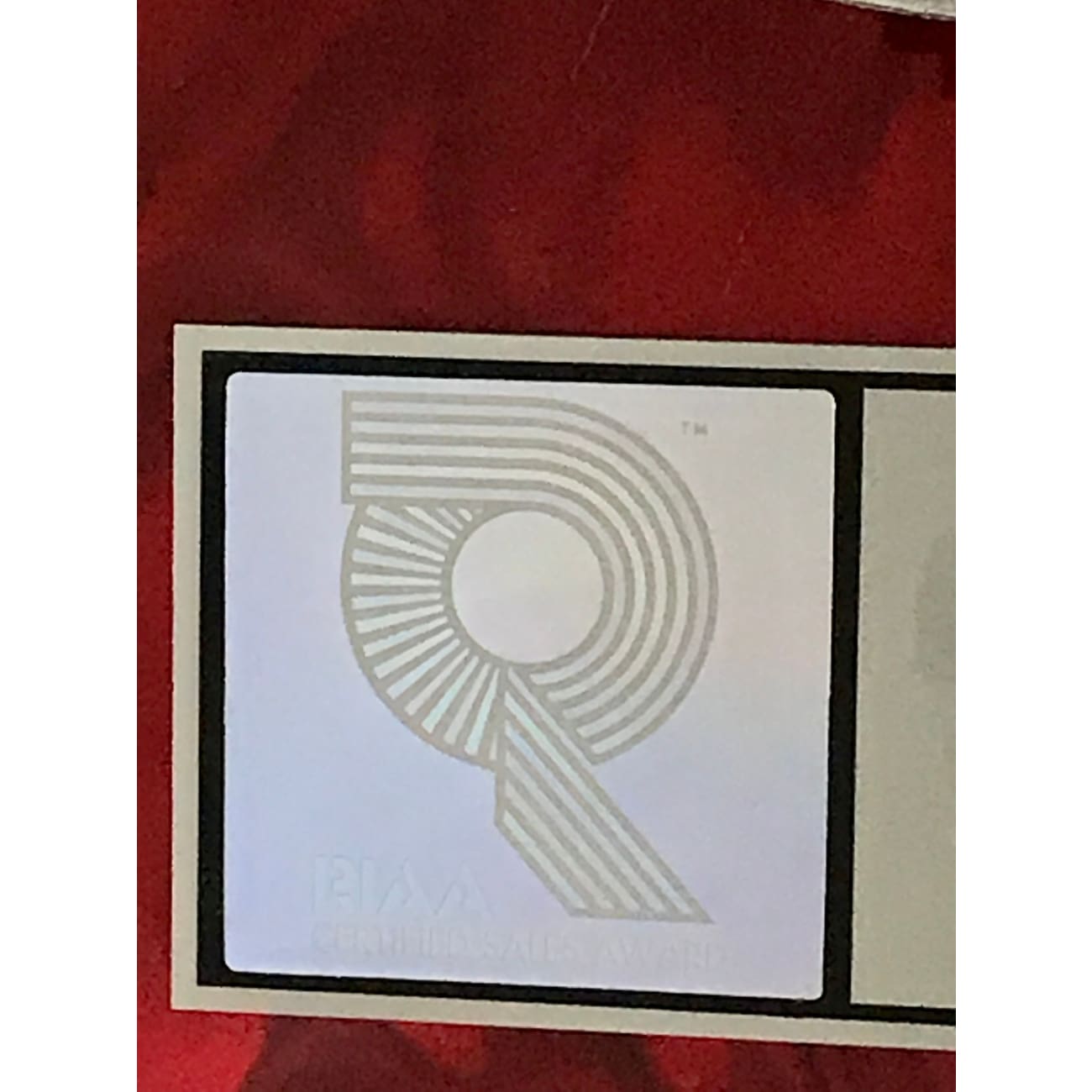Lenny Kravitz 'Are You Gonna Go My Way' RIAA Certified Platinum Album Award - Perfect for Music Collectors & Rock Memorabilia Displays
