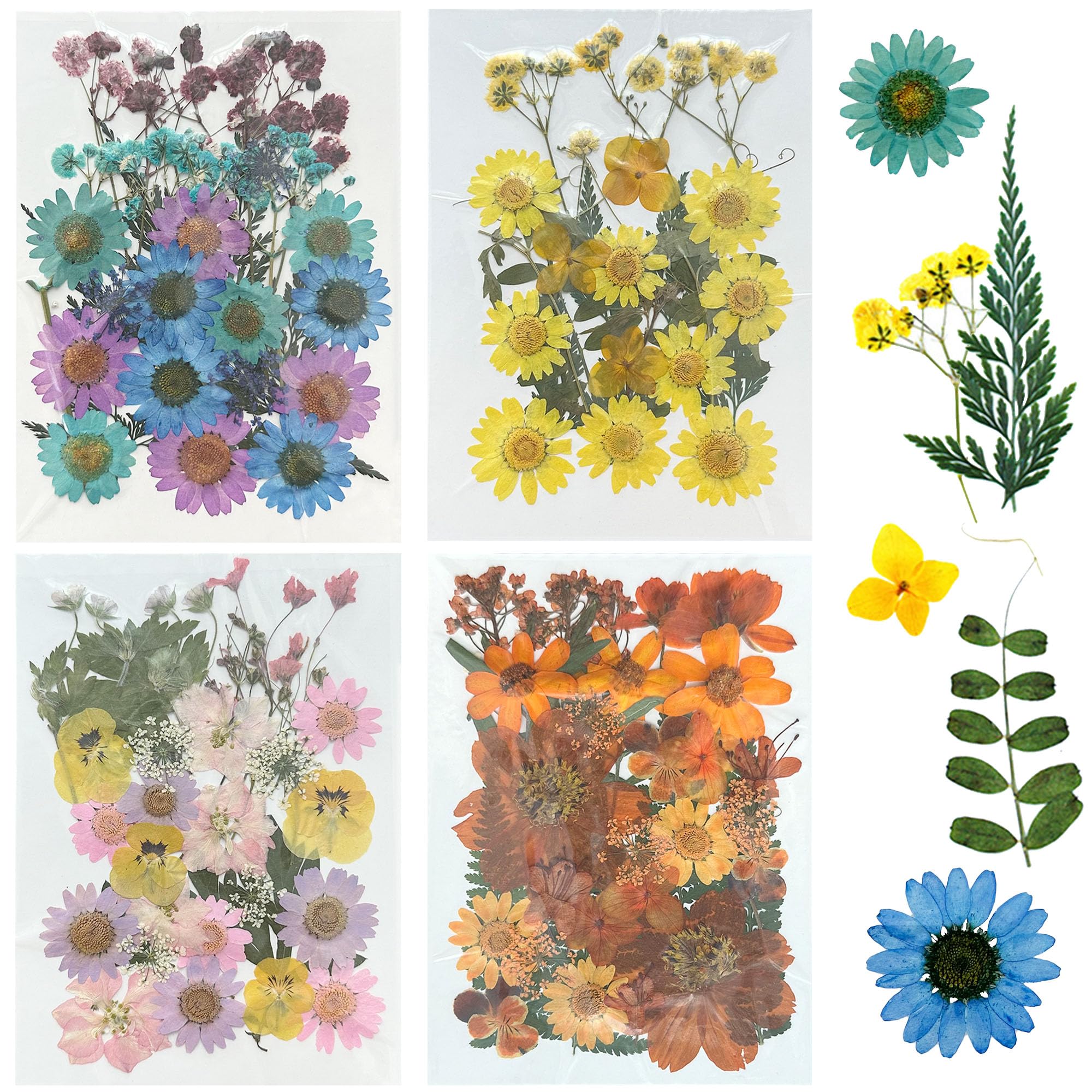 Woohome 110PCS Natural Pressed Flowers Kit - Colorful Dried Flowers for Resin Art, Nail Decoration, Scrapbooking, Candle & Jewelry Making - Premium Dried Flower Supplies for DIY Crafts | Perfect for Home Decor, Wedding Favors, and Gift Making