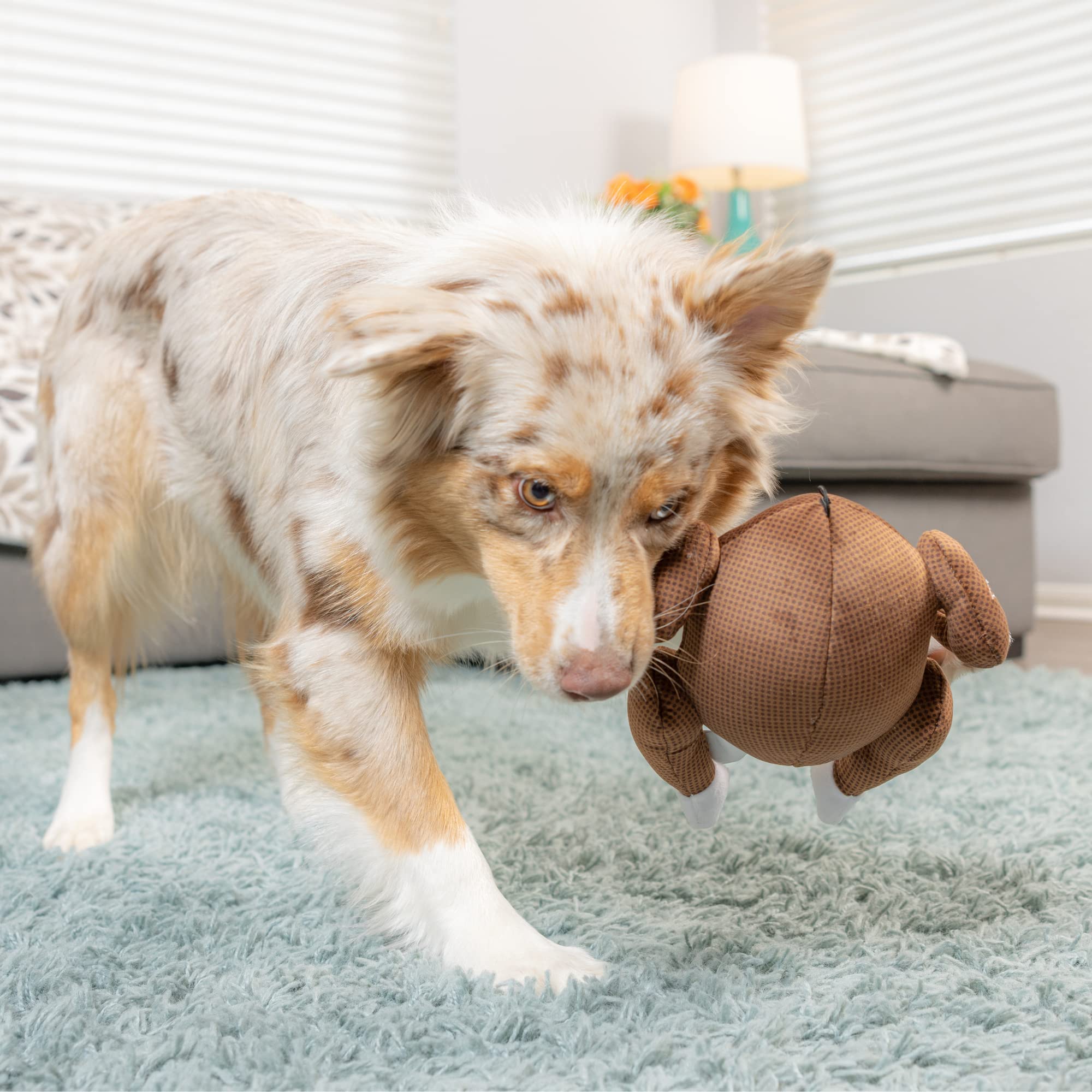 Huxley & Kent Squeaky Dog Toy for Large Dogs - Turkey Bowl Fall Power Plush Chew Toy with Funny Squeaker | Cute & Durable Pet Plaything for Indoor/Outdoor Fetch Games, Training Rewards & Bonding Time