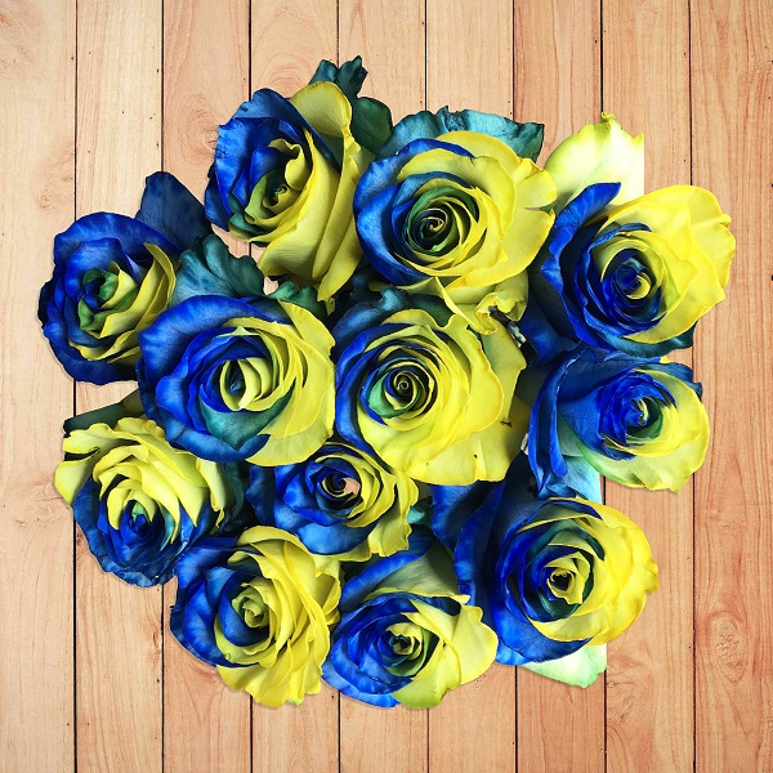 Fresh Cut Tinted Yellow and Blue Roses Bouquet - 24 Stems for Wedding Centerpieces, Anniversary Gifts & Home Decor