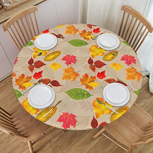 Autumn Leaves