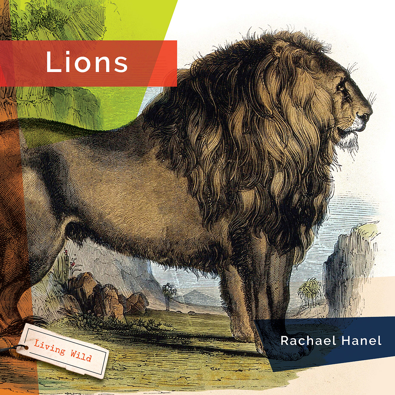 Lions: 9781640266049 - Wildlife Book for Kids & Adults | Perfect for Animal Lovers, School Projects & Nature Enthusiasts