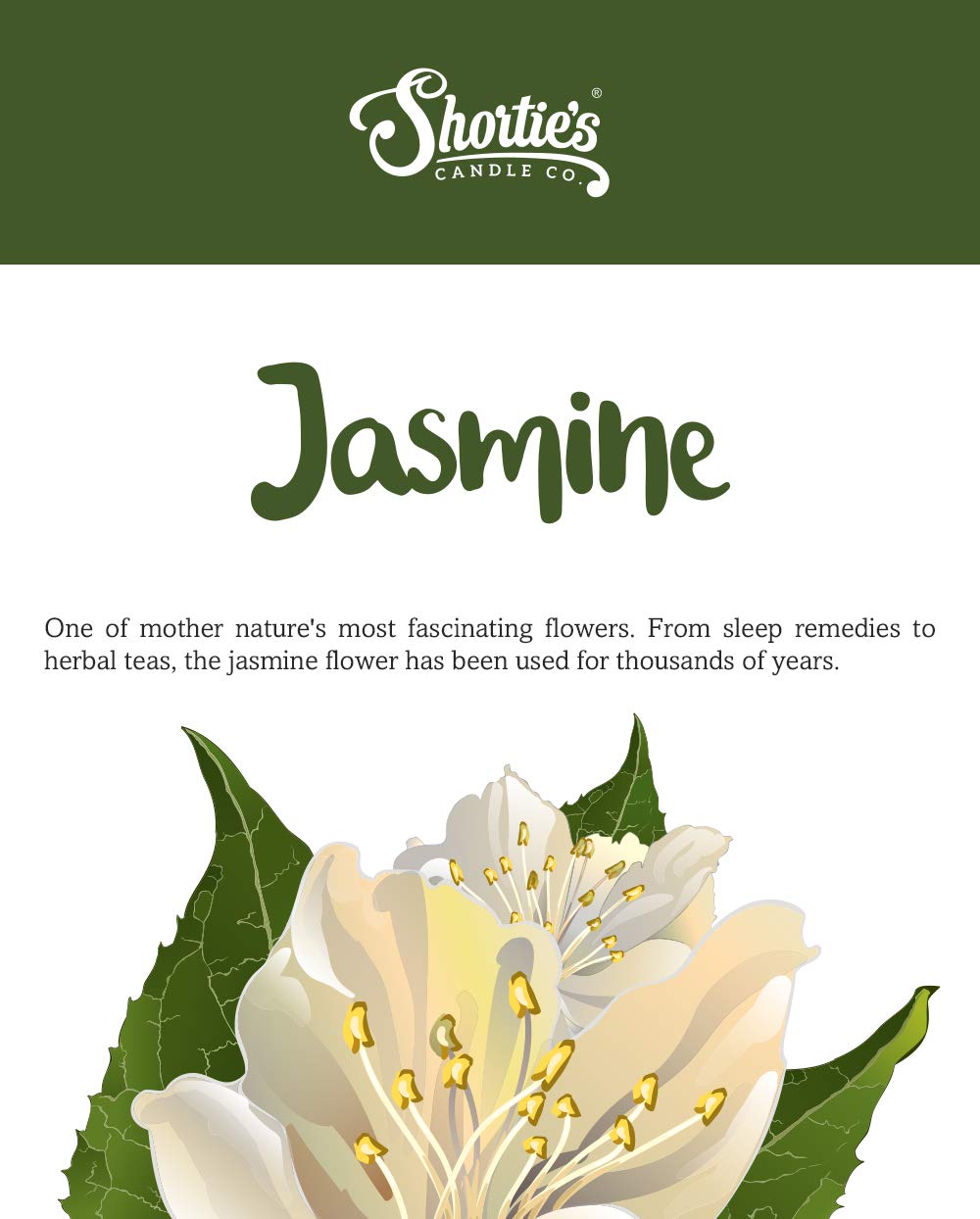 Pure Jasmine Soy Votive Candles - Essential Oil Scented, Natural Wax - 6 Pack Yellow Floral Candles for Home Decor, Wedding Centerpieces & Aromatherapy Relaxation