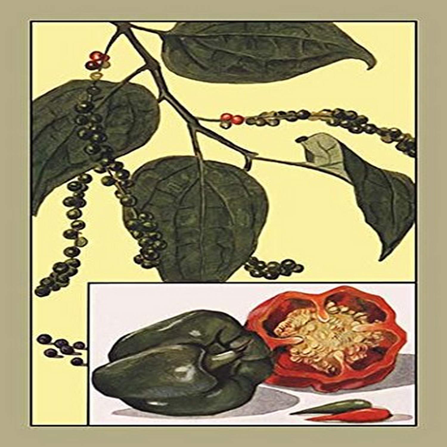 Buyenlarge 'Peppers' 20x30 Inch Vibrant Kitchen Wall Art Poster - Perfect for Home Decor, Restaurant & Cafe Wall Decoration