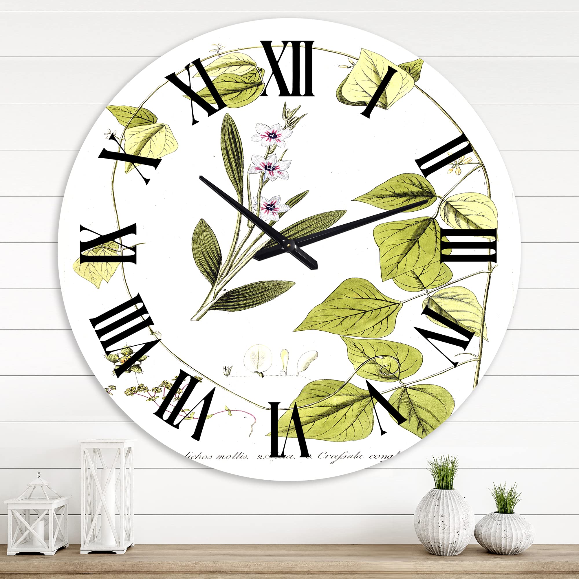 Vintage Botanicals XXI Floral Wall Clock - Large Traditional Decor for Bedroom, Living Room & Office | Elegant Home Decor with Botanical Design