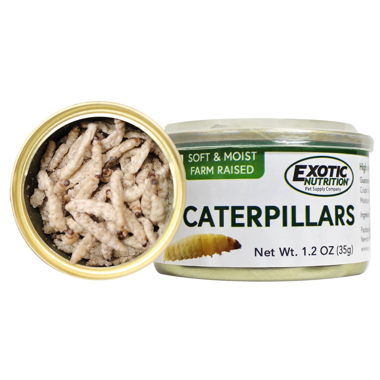 Premium Canned Caterpillars - High Protein Edible Insects for Snacks, Survival Food & Unique Culinary Experiences | Perfect for Camping, Hiking & Emergency Preparedness