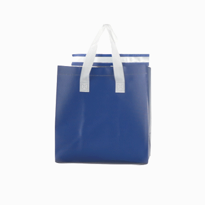 Blue Insulated Takeout Food Delivery Bag - Tamper Evident, 9.5