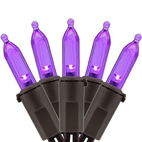 Purple - Brown Wire