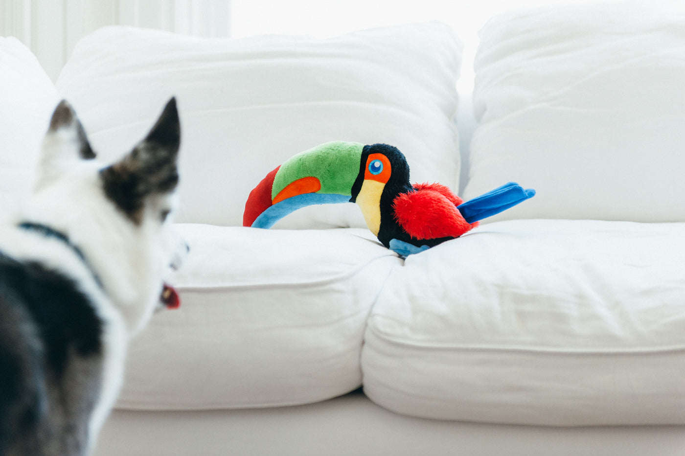 Tito the Toucan Plush Dog Toy - Fetching Flock™ Collection by Pet P.L.A.Y. | Durable & Soft Chew Toy for Small & Medium Dogs | Perfect for Fetch, Cuddling & Interactive Playtime