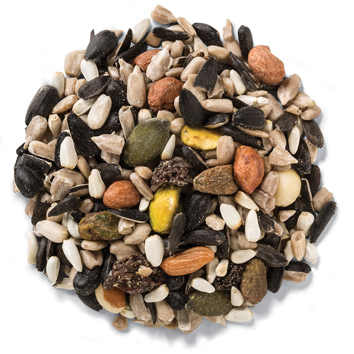 Wild Delight Nut N' Berry Wild Bird Seed - Premium 5 lb Bag for Backyard Birds | Attracts Cardinals, Blue Jays & Woodpeckers | Perfect for Bird Feeders & Wildlife Gardens