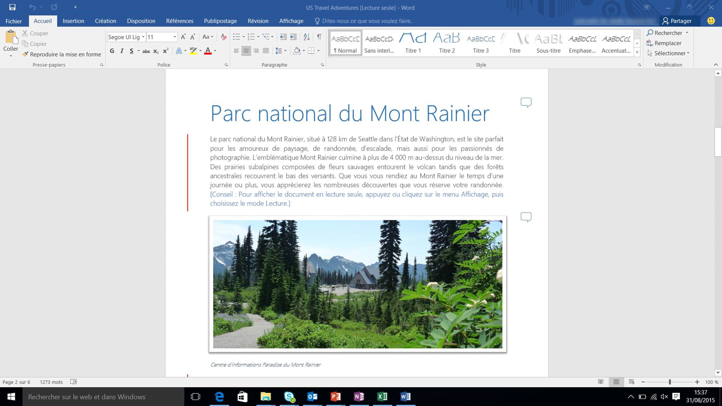 Microsoft Office Home & Student 2016 | Word, Excel, PowerPoint | Perfect for School Projects, Homework & Home Office Use