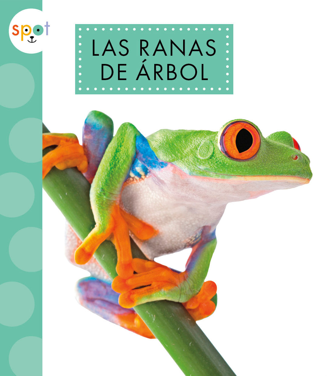 Tree Frogs for Sale - Live Pet Reptiles & Amphibians - Perfect for Terrariums & Educational Displays