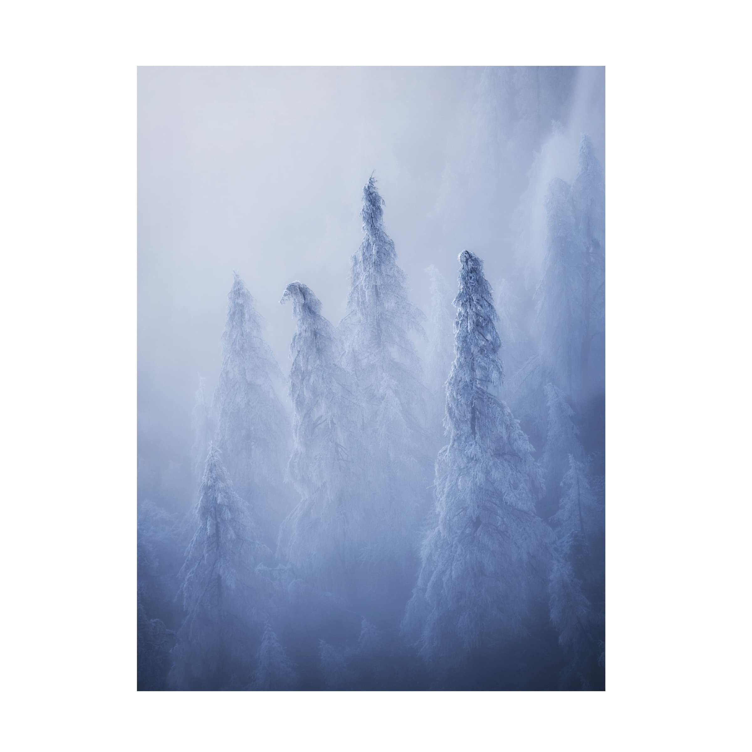 Trademark Fine Art 'Ghosts' Canvas Wall Art by Ales Krivec - Modern Abstract Painting for Living Room, Bedroom & Office Decor