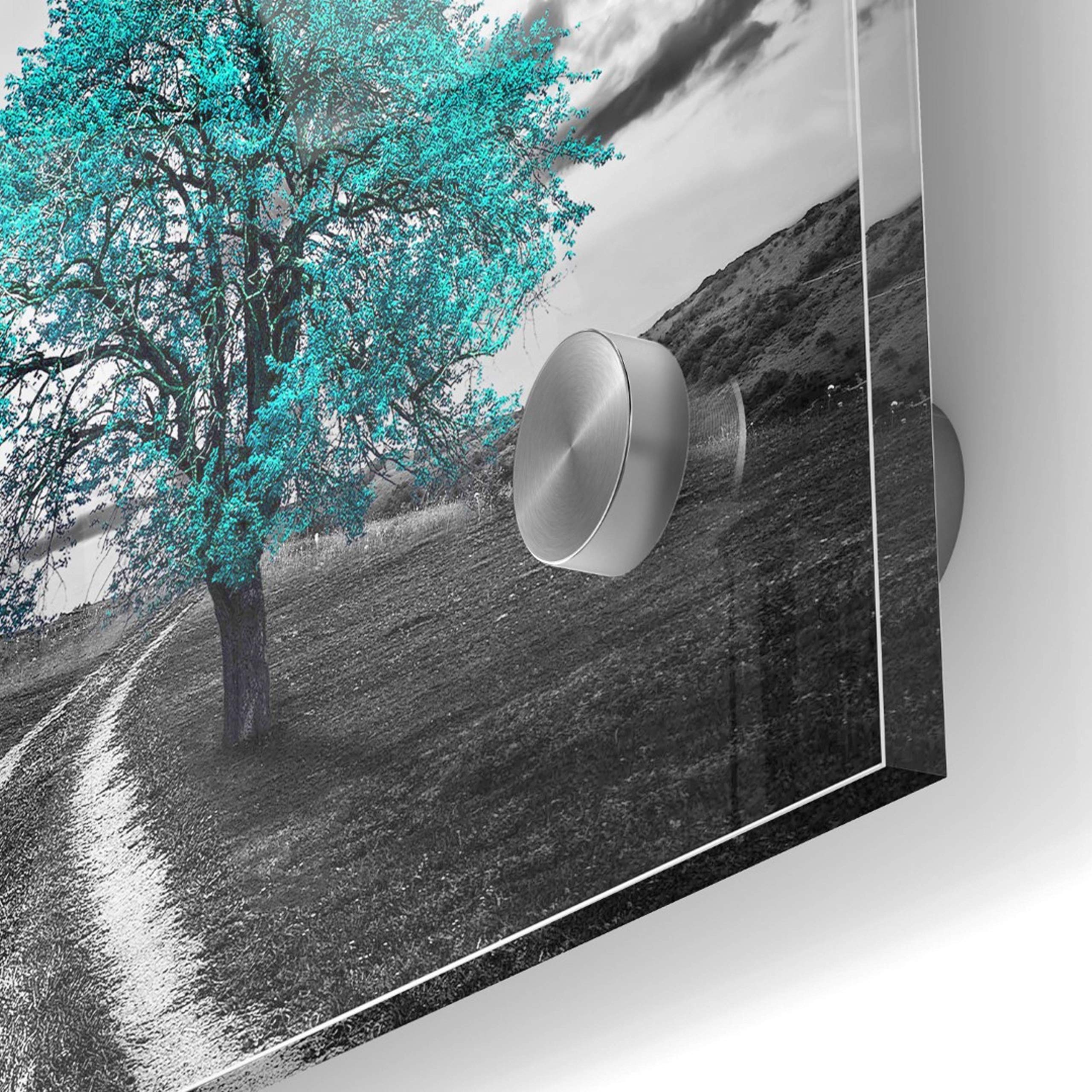 Epic Art 'Vibrant Tree Series: Cyan' Acrylic Glass Wall Art - 36x36 Inches Modern Home Decor for Living Room, Bedroom & Office
