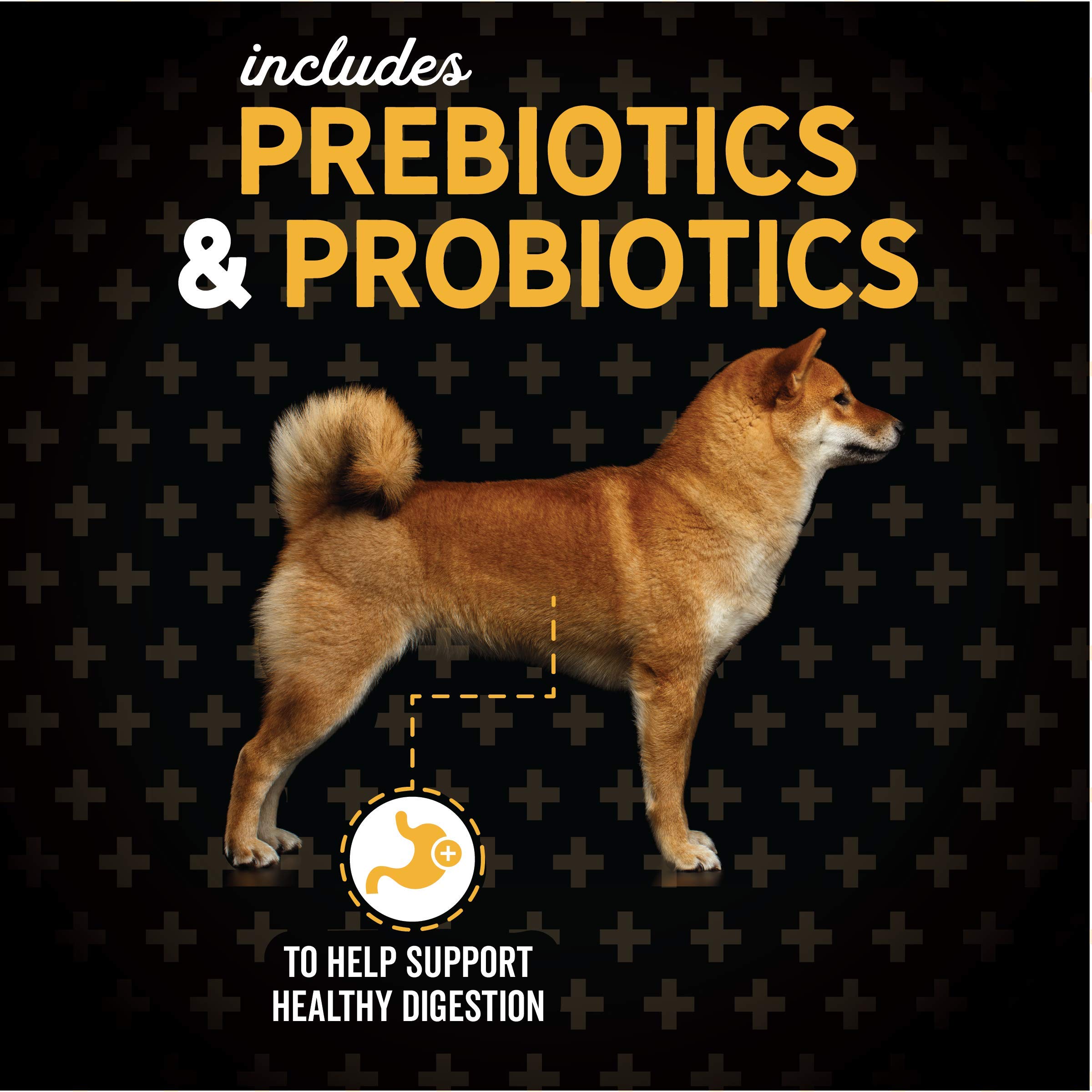 Evolve Pet Food Classics Deboned Beef, Barley & Bison Recipe Dry Dog Food - 3.5 lb Bag | High Protein Grain-Inclusive Kibble for Adult Dogs | Perfect for Active & Large Breed Dogs at Home or Travel