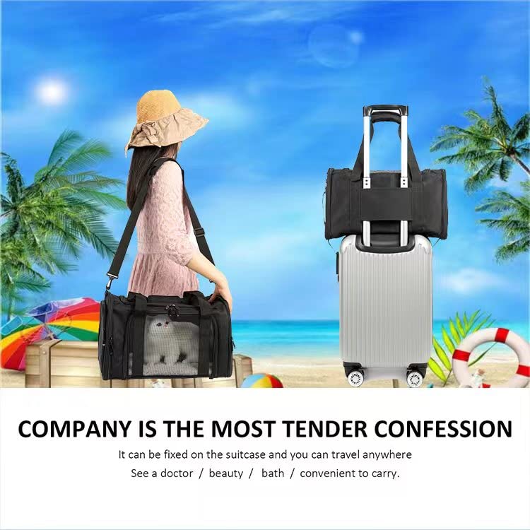 **Airline Approved Collapsible Pet Carrier for Small & Medium Cats & Dogs up to 15 lbs - Soft-Sided Travel Cat Bag & Dog Carrier (Medium, Black) - Perfect for Air Travel, Vet Visits & Road Trips**