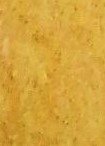 Medium Blonde