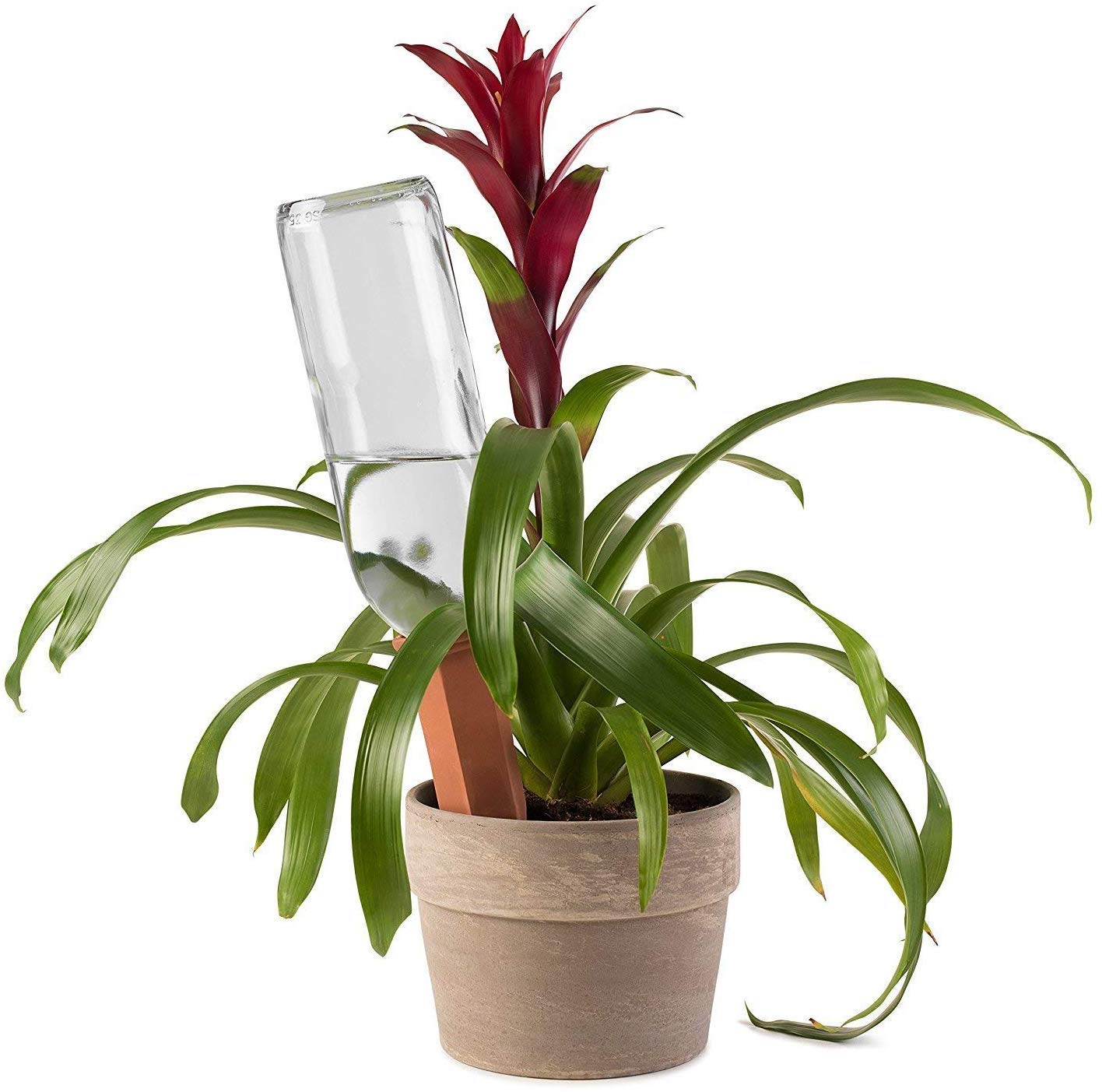 4-Pack Terracotta Plant Self-Watering Stakes for Indoor & Outdoor Plants - Automatic Irrigation System with Recycled Wine Bottles - Perfect for Home, Vacation, and Office Use