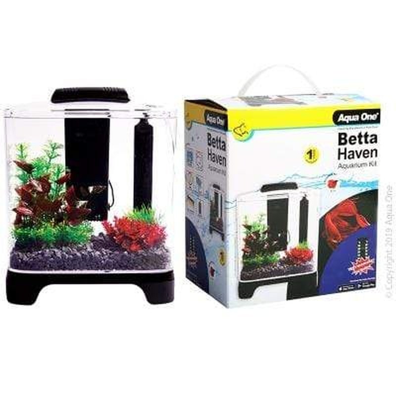 Aqua One Betta Haven 7L Acrylic Fish Tank - Perfect for Small Spaces, Desktop & Home Decor | Ideal for Betta Fish, Shrimp & Nano Aquariums