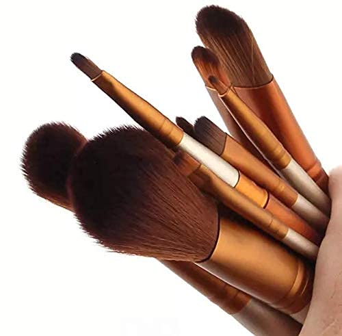 Professional Makeup Brushes Kit - 12 Piece Set with Storage Box (Silver) | High-Quality Cosmetic Tools for Women & Girls | Perfect for Everyday Makeup, Contouring, and Blending