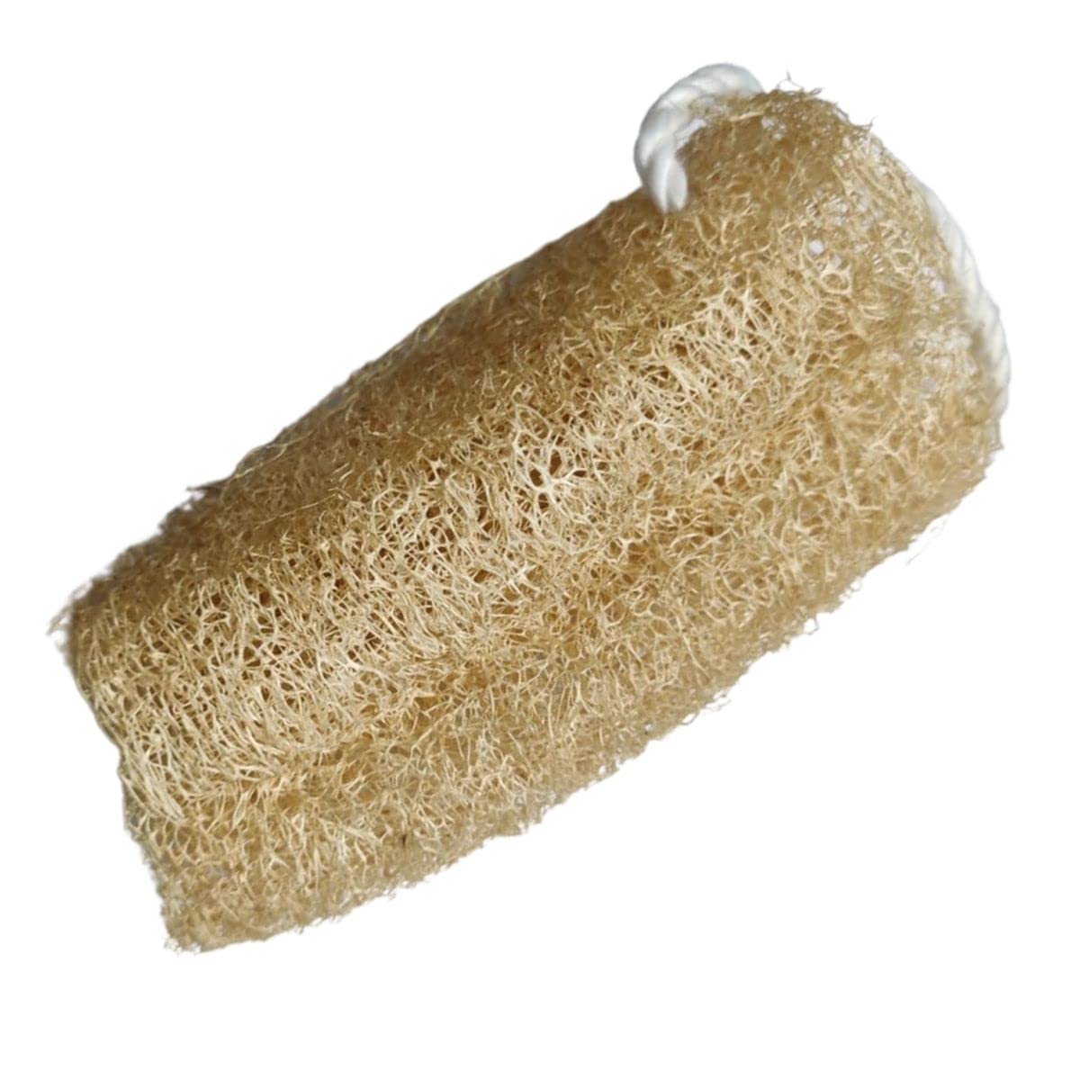 Organic Loofah Sponge for Bath & Shower - Natural Exfoliating Body Scrubber for Face, Back & Skin - Eco-Friendly Bath Sponge for Men & Women (Pack of 2) - Perfect for Spa, Gym & Travel Use