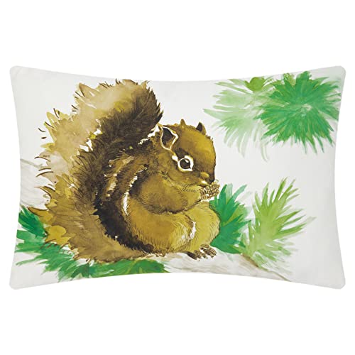 R-squirrel