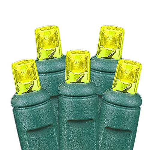 BAT50 LED Battery Operated Christmas Mini Lights - 50 Green Wire Fairy Lights (17 Feet) for Indoor/Outdoor Holiday Decorations, Parties, Weddings & Home Ambiance