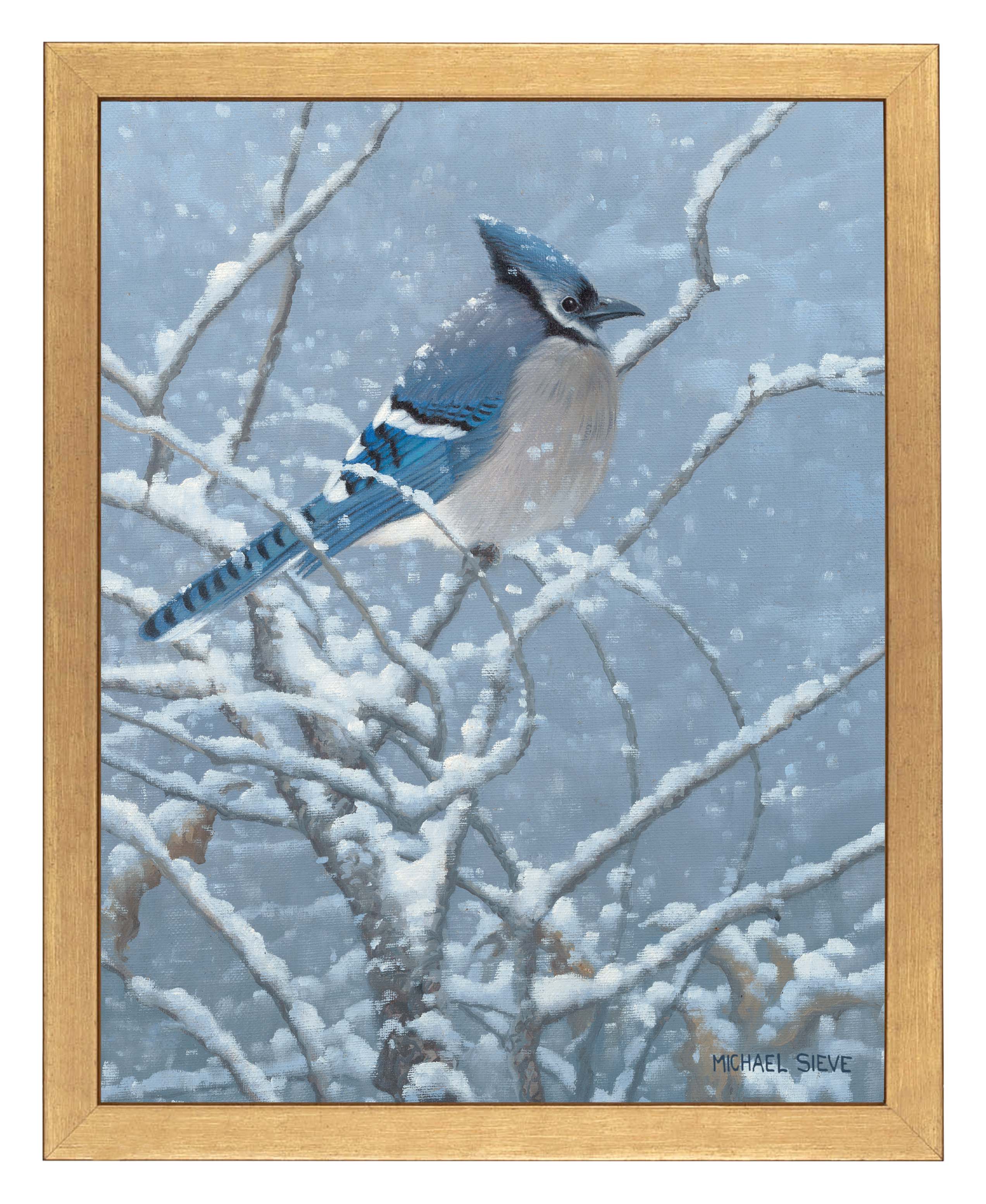 Blue Jay Art Prints - Stunning Wildlife Wall Decor for Home, Office & Classroom | Nature-Inspired Study Room & Gift Ideas