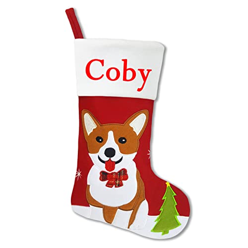 Corgi