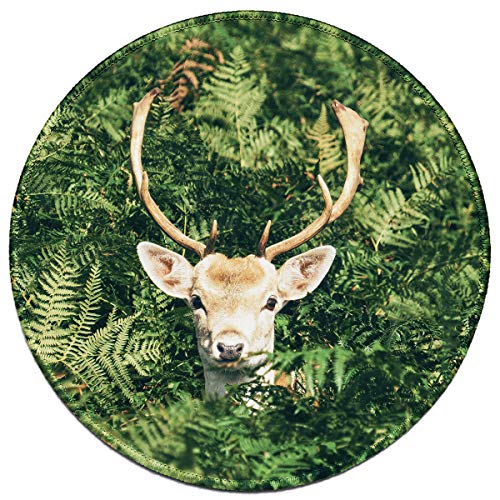 A Deer in the Woods (Round)