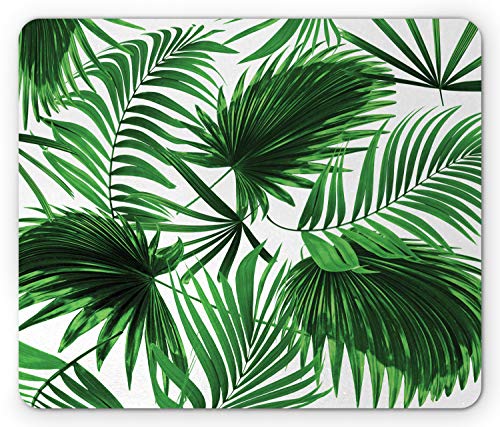 Fern Green White