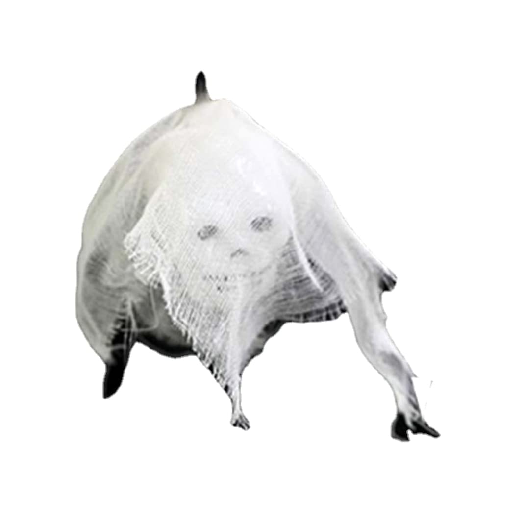 Nirelief 10ft Halloween Skull String Lights - 20 LED Colorful Skeleton Skull Lights for Window, Porch, Bar, House, Yard & Garden - Perfect for Halloween Party Decorations & Spooky Nighttime Ambiance