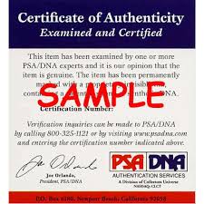 Hope Solo Autographed 16x20 USA Women's Soccer Photo with PSA/DNA COA - Perfect for Sports Memorabilia Collectors and Soccer Fans Home Decor