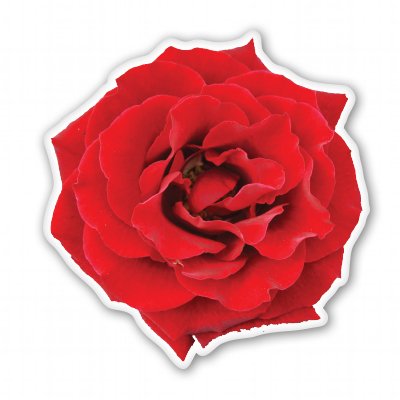 Premium Red Rose Vinyl Sticker - Waterproof Decal for Cars, Phones & Helmets - Multiple Sizes Available - Perfect for Personalizing Vehicles, Electronics & Sports Gear