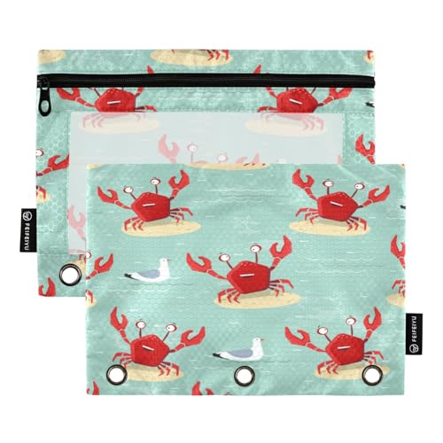 Crab Starfish and Seagull