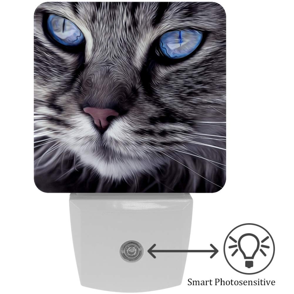 Blue Eyed Tabby Cat LED Night Light with Dusk to Dawn Sensor - Decorative Plug-in Wall Light in Daylight White for Kids, Bathroom, Bedroom & Kitchen | Perfect Nursery Decor & Nighttime Safety Light