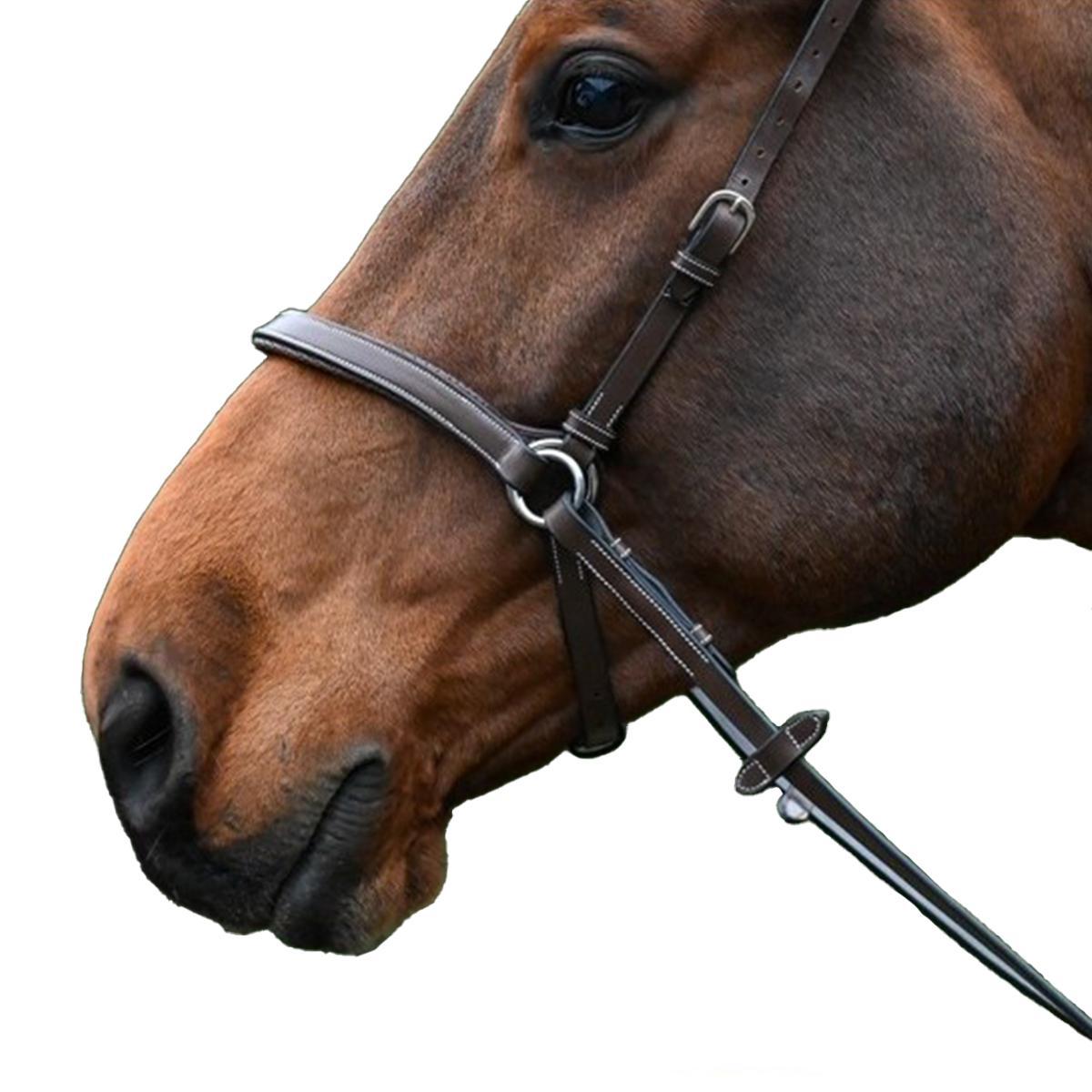 Jump'in Bitless Bridle for Horses - Comfortable & Adjustable One Collection - Perfect for Trail Riding, Training & Natural Horsemanship