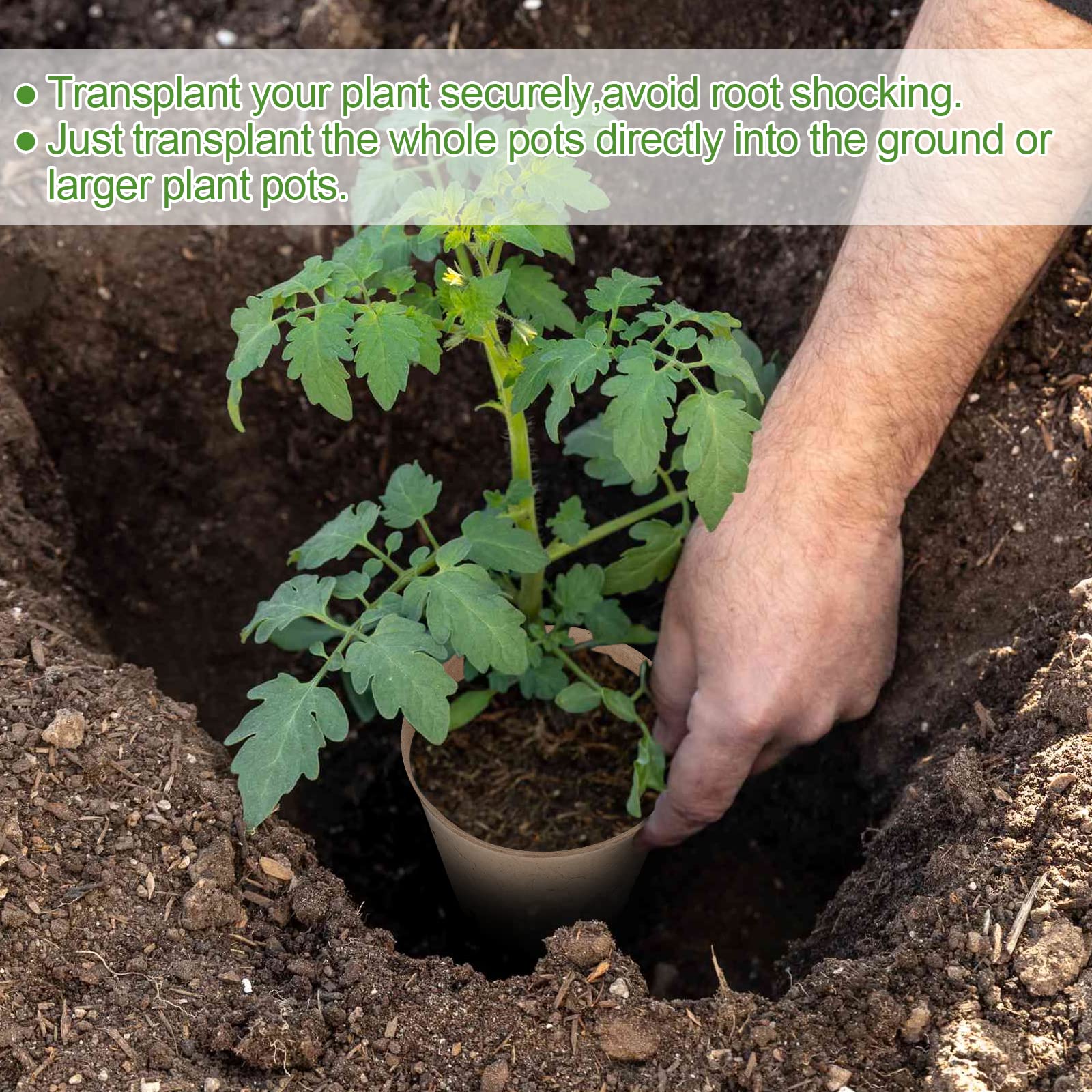 50PCS 3.15 Inch Biodegradable Peat Pots for Seed Starting - Round Nursery Pots with Drainage Holes + 20 Free Plant Labels | Ideal for Indoor Gardening, Herb Growing & Vegetable Seedlings